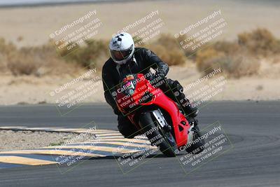 media/Mar-28-2022-Superbike Trackdays (Mon) [[b8603d0f67]]/Open Track Time/Turn 16/